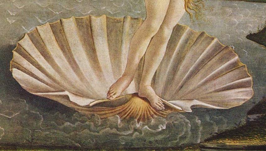 Shell in Birth of Venus Painting